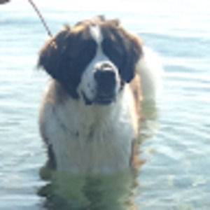 Meet your Posher, Md